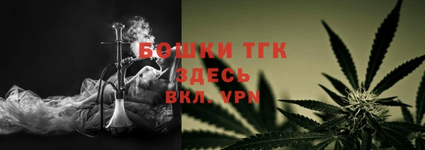 соль ск Богданович