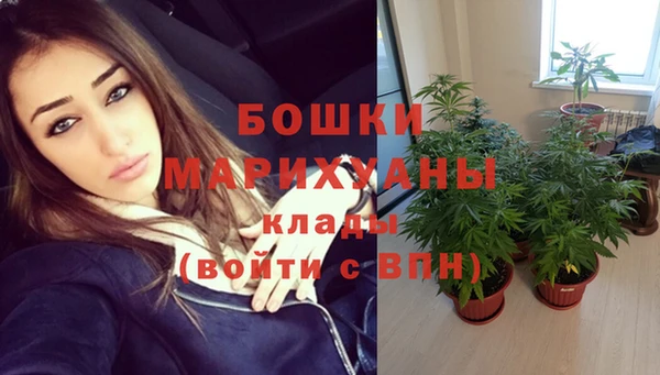 соль ск Богданович